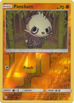 Pancham 119/236 REVERSE HOLO COMMON